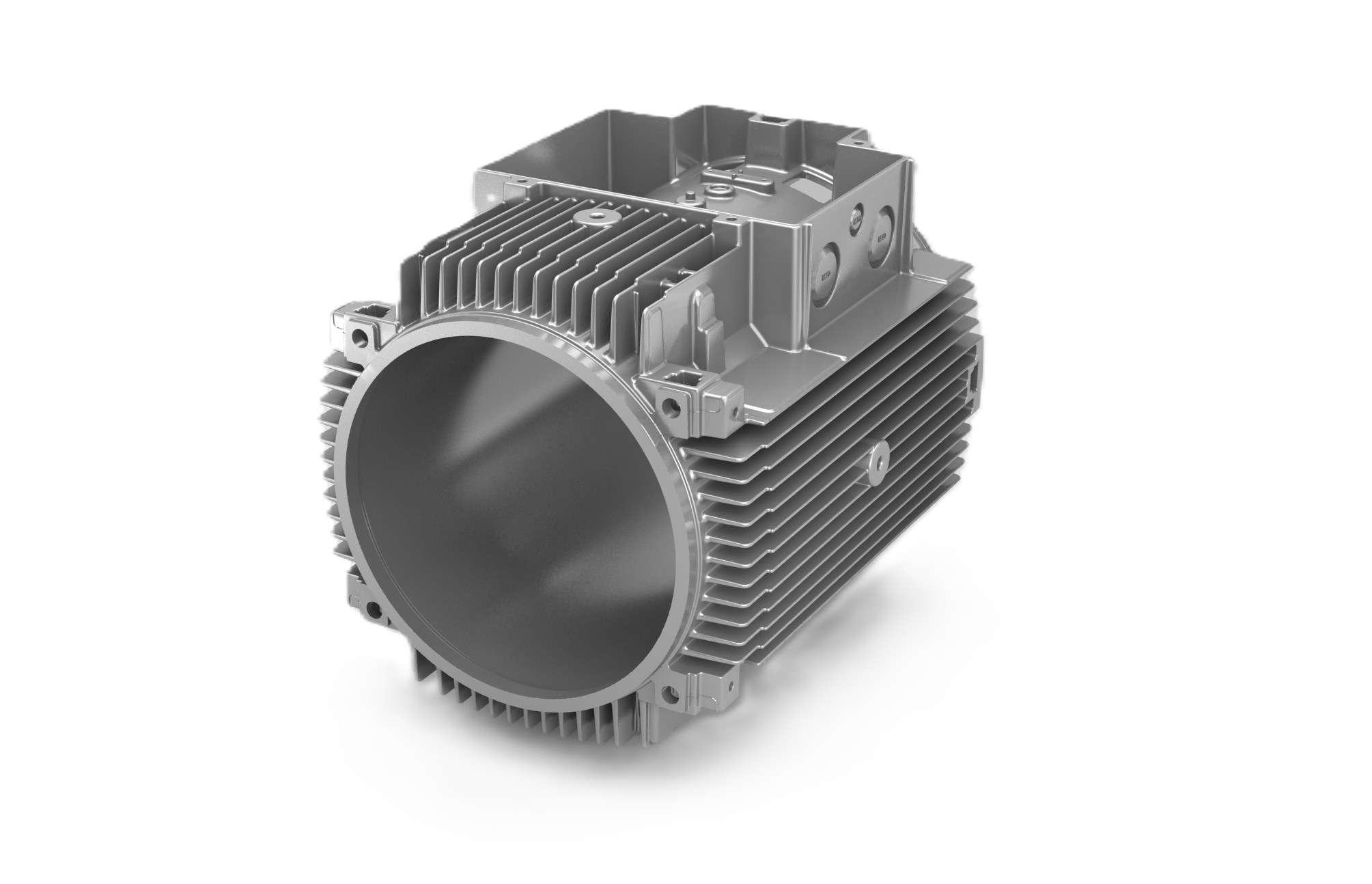 Carcassa Elettropomoa