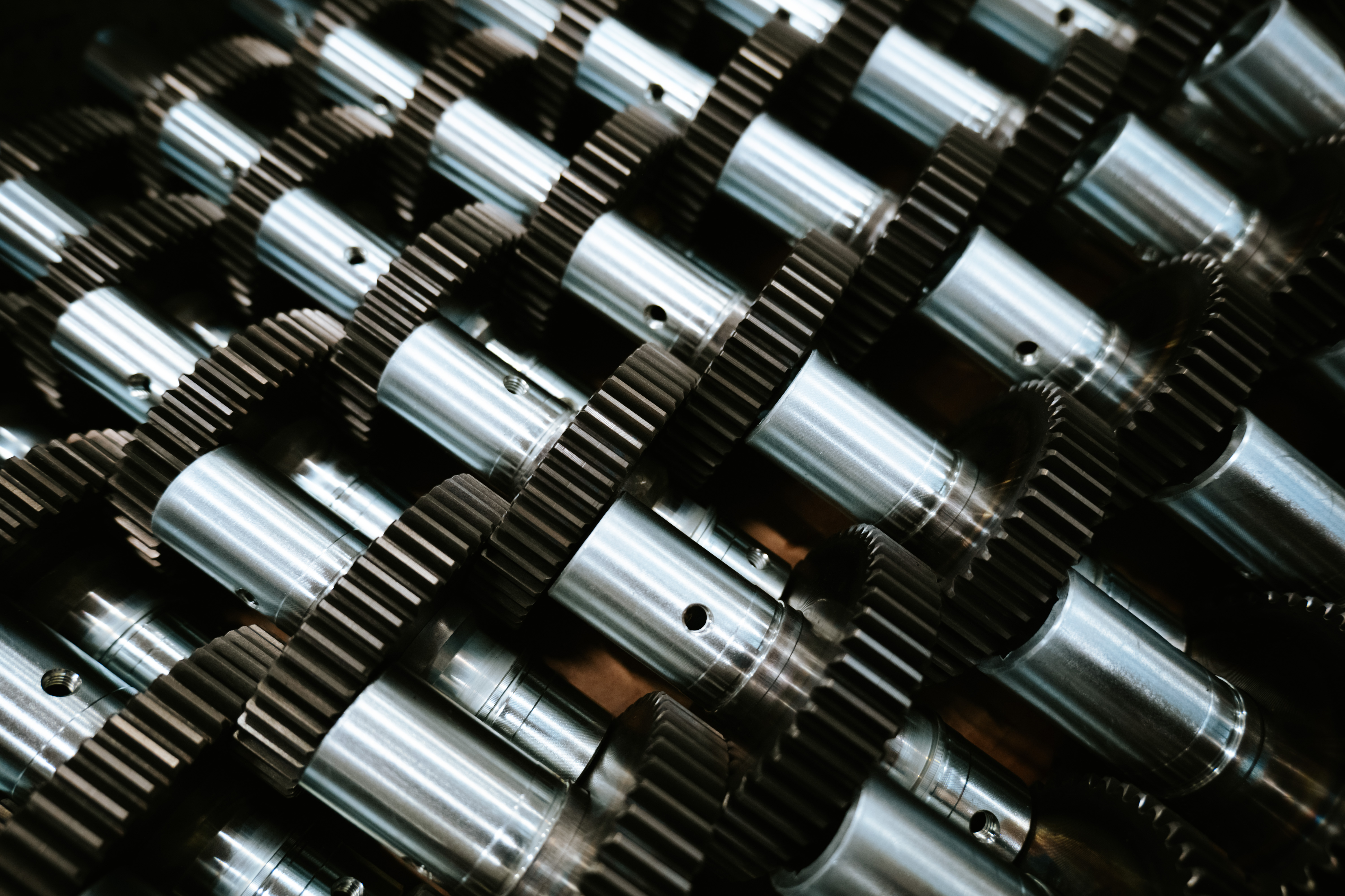 Assiemato: albero e corona